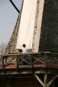 Because of the strong wind,the miller shortens the covering of the blades of an old cap windmill