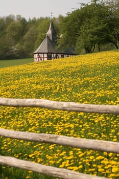 Small village chapel with dandelion meadow