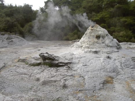 Lady Knox Geyser