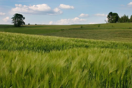 Fertile land