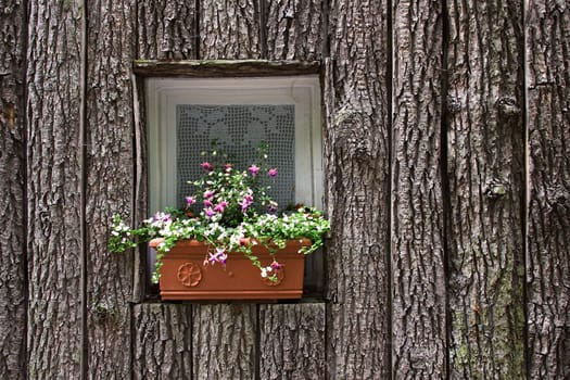 Flower Window