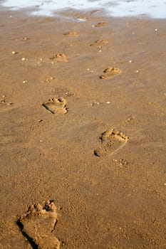 Footprints in the Wat off Cuxhaven (North Sea)