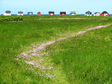 Summer cottages in Denmark