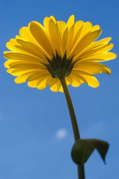 Summer is finally here!