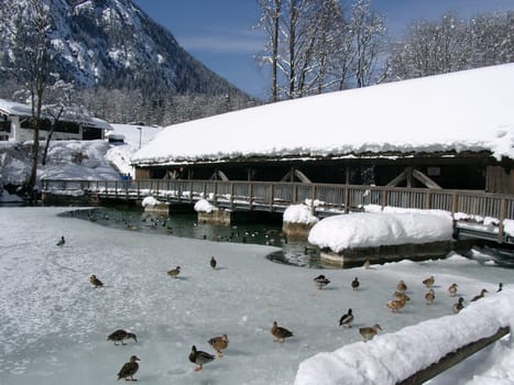 Ice skating - Part 2