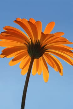 Sunshine 02
