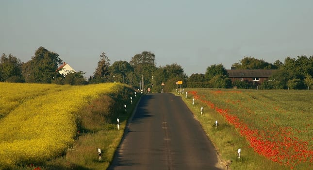 That's the way I drive to work every day. At the moment you can choose whether you want to take pictures left or right! Both sides are very beautiful! And there I stopped the quiet Sunday morning after the service for a short time.....