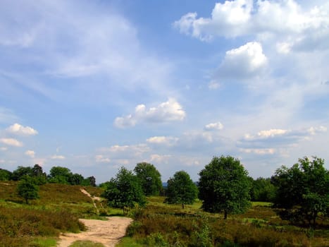 Wahner Heide