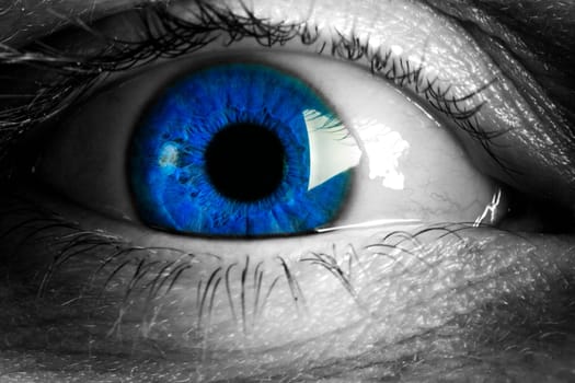Close-up of an eye Germany