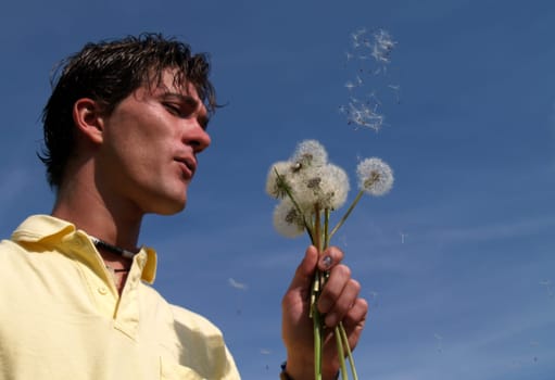 Dandelion