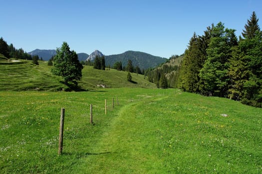 Pure nature
