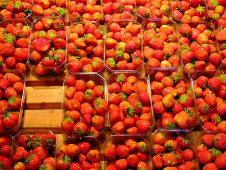 Strawberry Stand