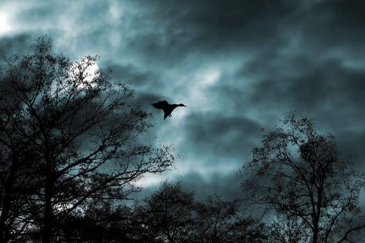 DRAMATIC ART
