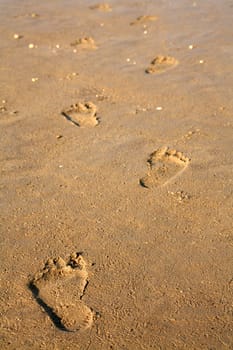 Footprints in the Wat off Cuxhaven (North Sea)