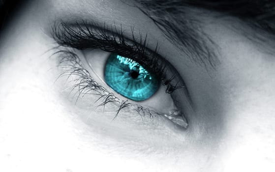 Macro shot - eye of a young woman