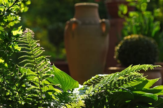 in the morning at six in the garden...