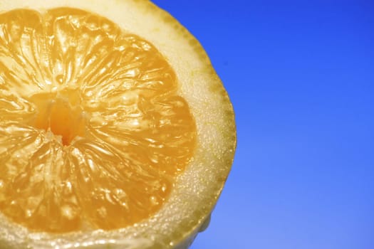 Lemon half