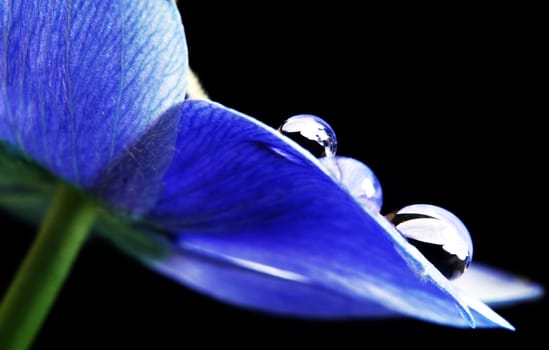 Blue rain