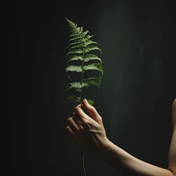 A woman's hand and a fern leaf. Man and nature. A woman's hand and a fern leaf. AI Generated