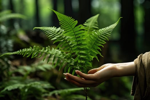 A woman's hand and a fern leaf. Man and nature. A woman's hand and a fern leaf. AI Generated