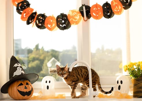 Halloween concept. Beautiful Bengal cat. A pumpkin with a painted face, a white ghost and a bouquet of yellow chrysanthemum flowers in a black vase against the background of a window in a home interior.