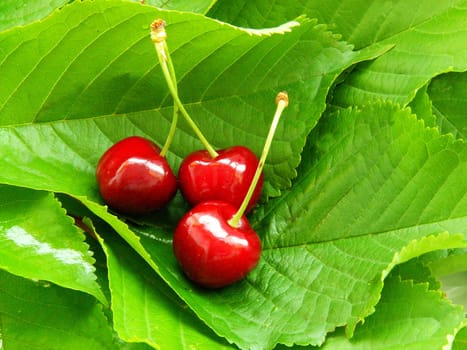 Sweet fruits 3