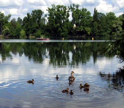 Fishing on the duck pond