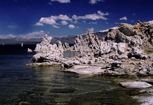 Scan of the slide