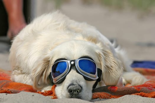 Sunbathing (2)