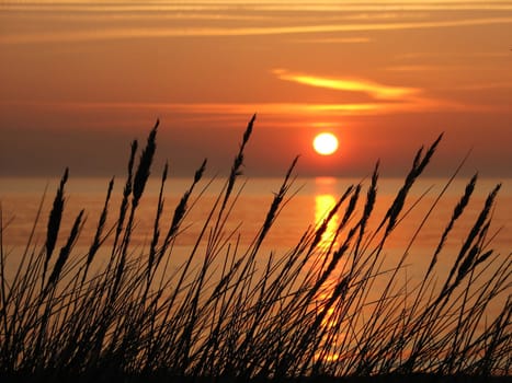 SU always beautiful,especially on the Baltic Sea