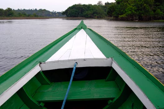 Boat excursion in the Amazon region Brazil