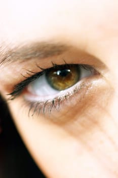 Eye