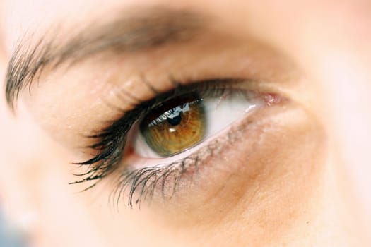 Eye