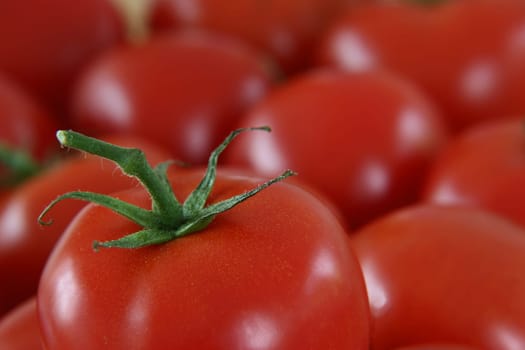 Tomatoes
