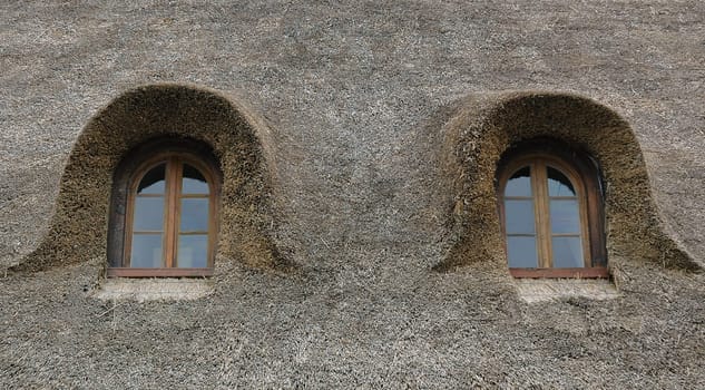 Reed roof
