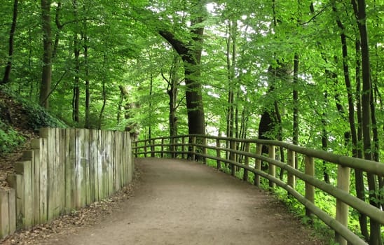 Walk in the countryside