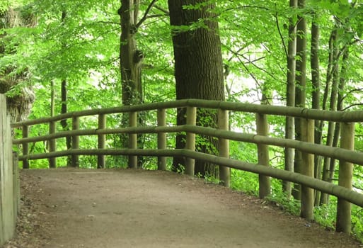 Walking in the countryside