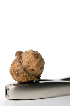 Nut on Nutcracker