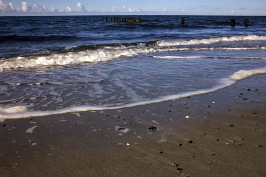 Baltic Sea coast Fischland-Darß