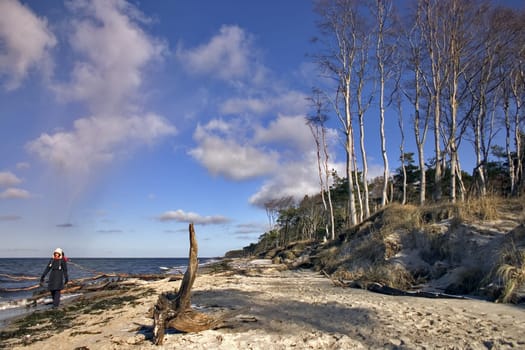 Fischland-Darß in winter,near Ahrenshoop