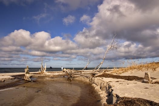 Baltic Sea coast Fischland-Darß