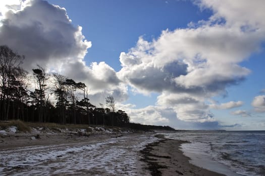 Baltic Sea coast Fischland-Darß