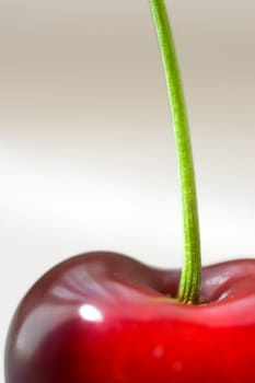 Red Cherry 08