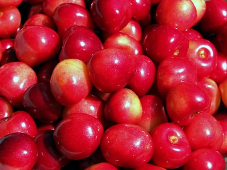sweet fruits IV