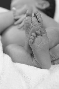Baby feet sw