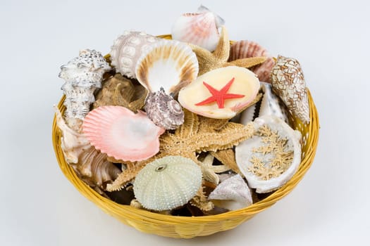 Mussel basket