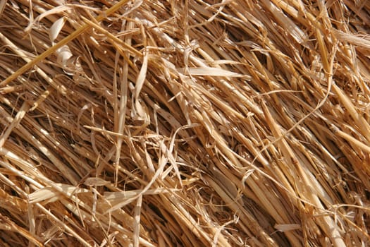 straw
