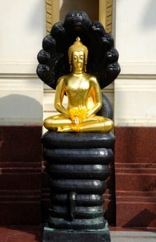 Buddha on the Serpent Throne Bangkok Thailand