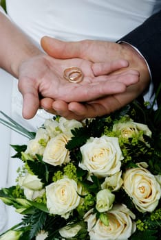 Wedding couple with wedding rings