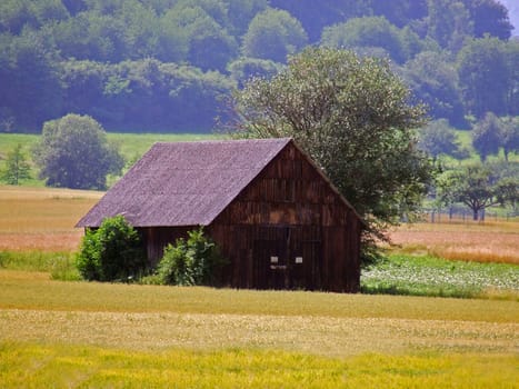 Field barn
